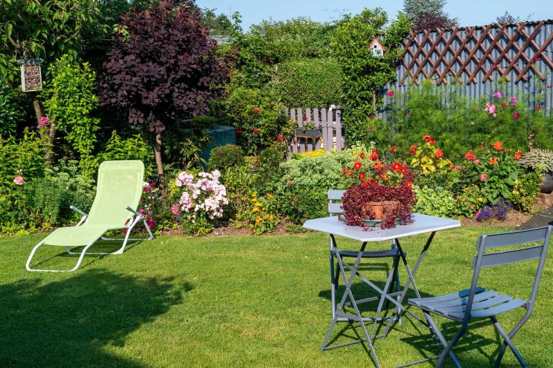 Drought-Resistant Gardening: 7 Proven Techniques for a Thriving Garden
