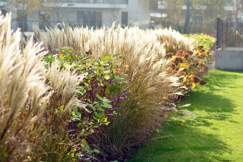 Drought-Resistant Gardening: 7 Proven Techniques for a Thriving Garden