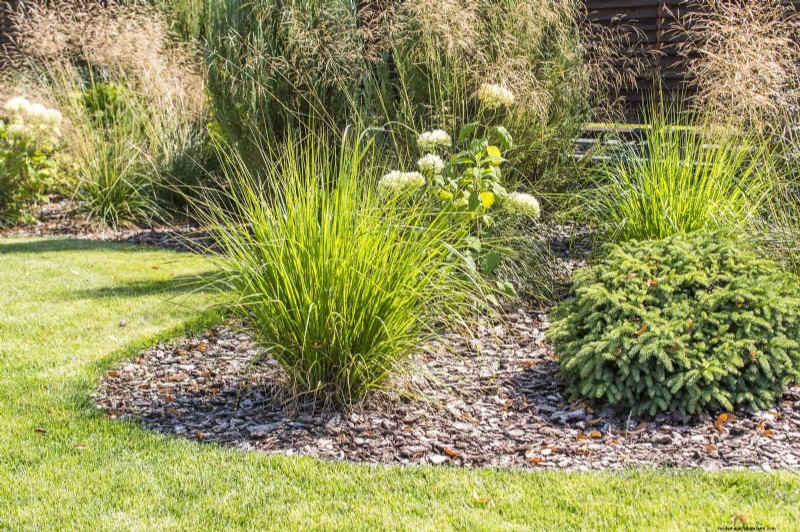 Drought-Resistant Gardening: 7 Proven Techniques for a Thriving Garden