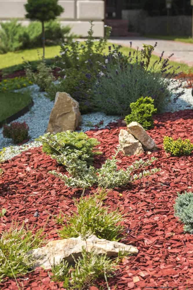 Drought-Resistant Gardening: 7 Proven Techniques for a Thriving Garden