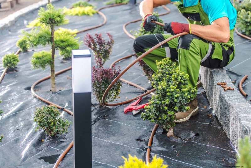 Drought-Resistant Gardening: 7 Proven Techniques for a Thriving Garden