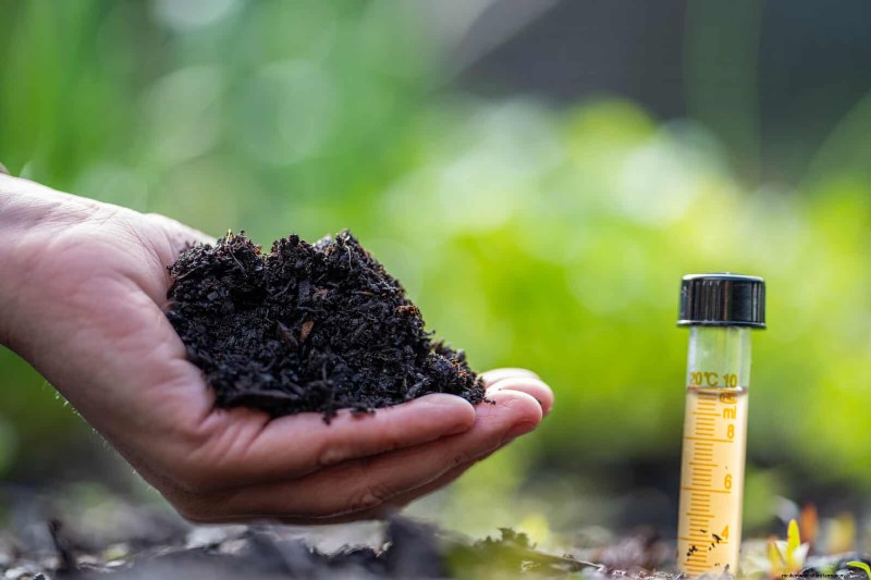 Drought-Resistant Gardening: 7 Proven Techniques for a Thriving Garden