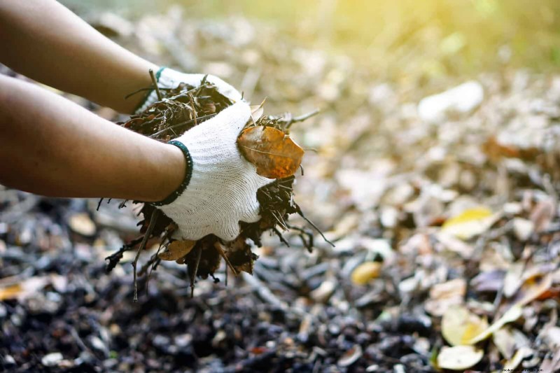 Drought-Resistant Gardening: 7 Proven Techniques for a Thriving Garden