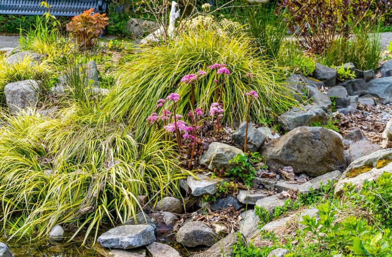 Drought-Resistant Gardening: 7 Proven Techniques for a Thriving Garden