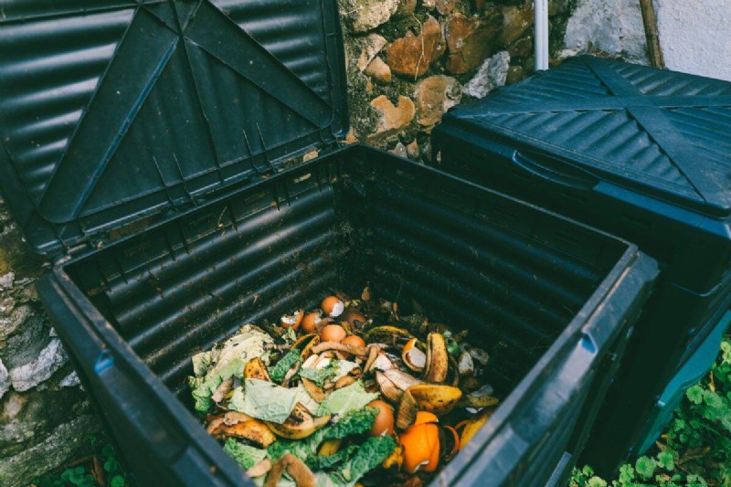 Avoid Common Composting Mistakes for a Bountiful Garden