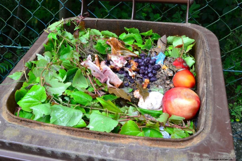 Avoid Common Composting Mistakes for a Bountiful Garden