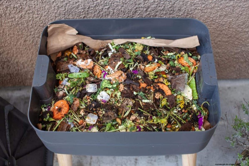 Avoid Common Composting Mistakes for a Bountiful Garden