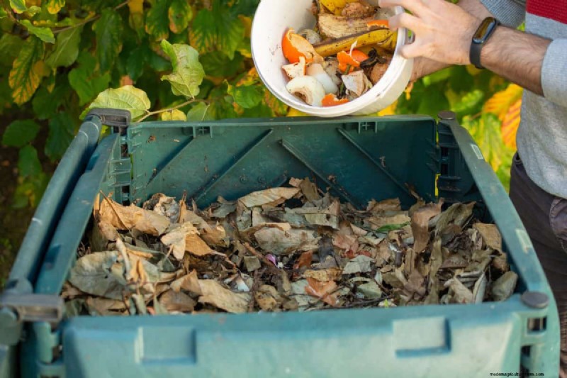 Avoid Common Composting Mistakes for a Bountiful Garden