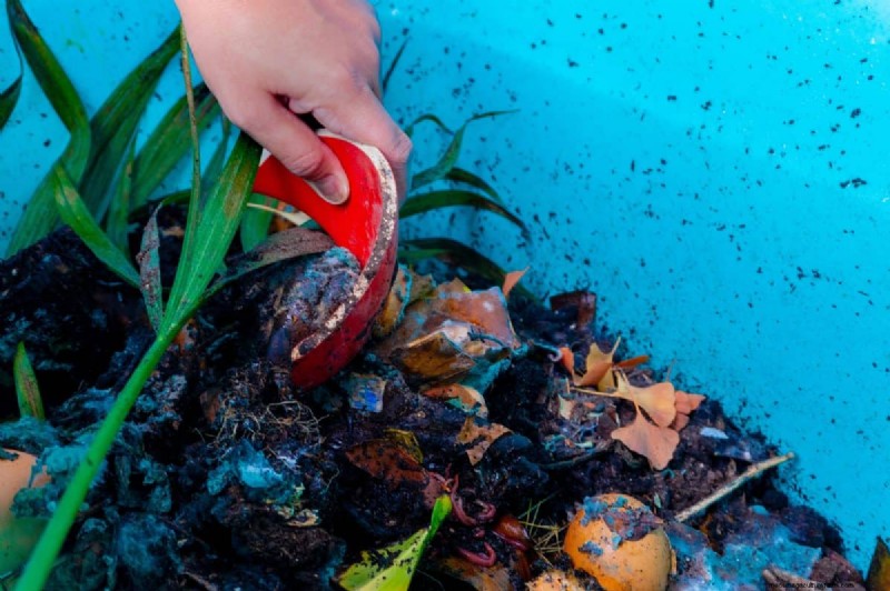 Avoid Common Composting Mistakes for a Bountiful Garden