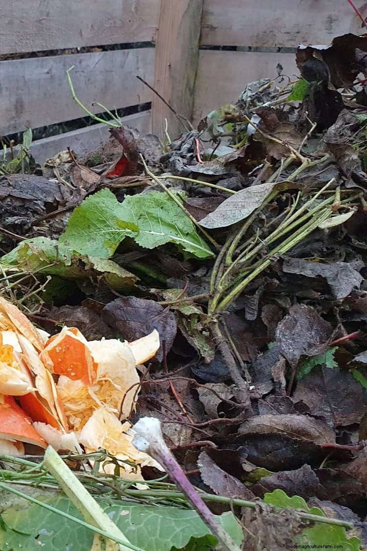 Avoid Common Composting Mistakes for a Bountiful Garden