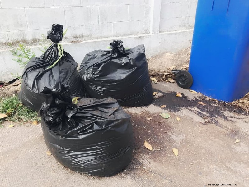 Avoid Common Composting Mistakes for a Bountiful Garden