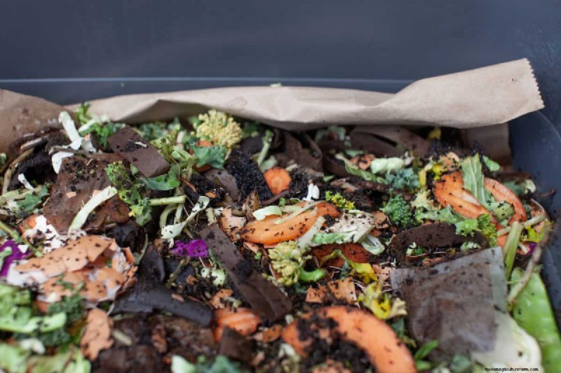 Avoid Common Composting Mistakes for a Bountiful Garden