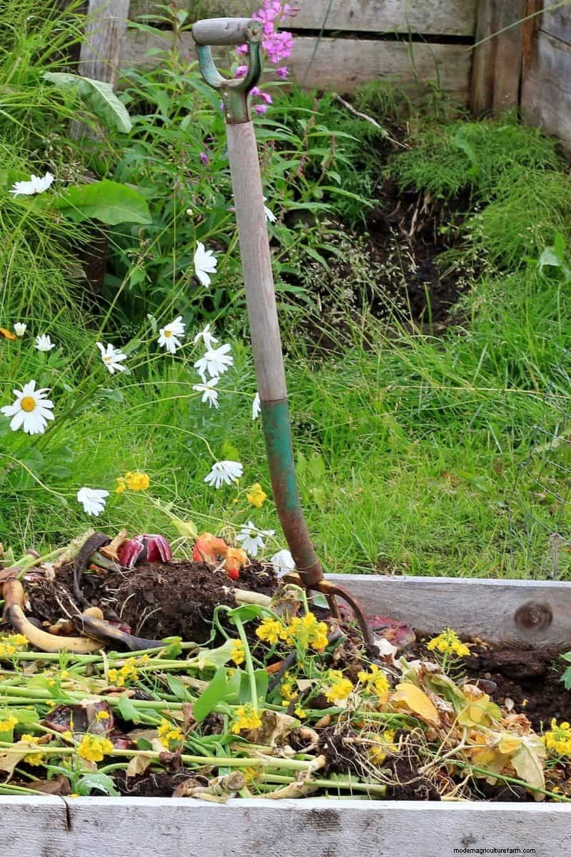 Avoid Common Composting Mistakes for a Bountiful Garden