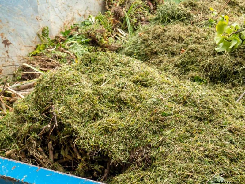 Avoid Common Composting Mistakes for a Bountiful Garden