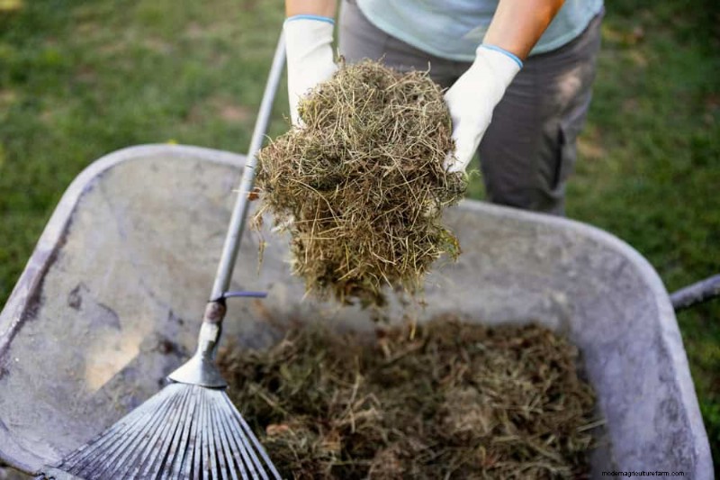 Avoid Common Composting Mistakes for a Bountiful Garden