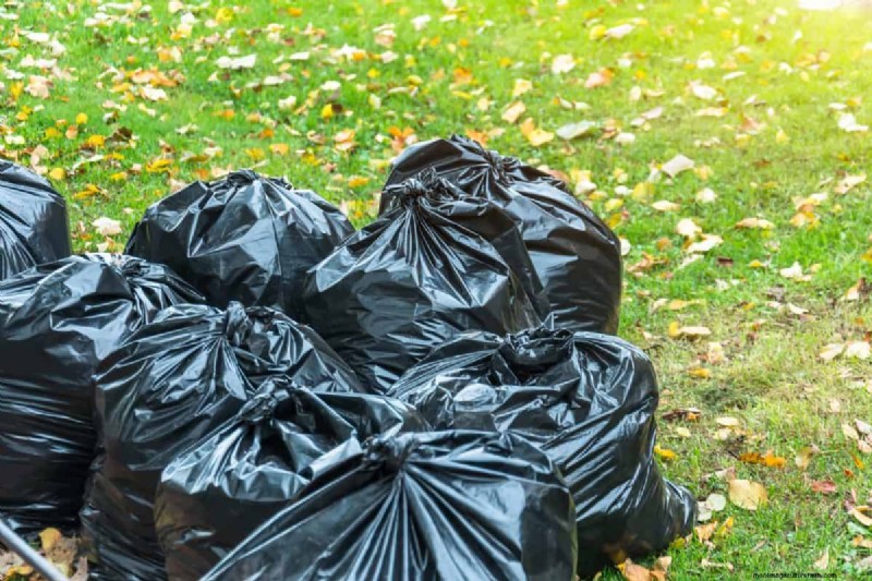Avoid Common Composting Mistakes for a Bountiful Garden