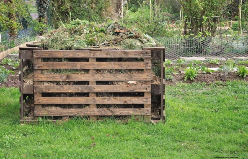 Avoid Common Composting Mistakes for a Bountiful Garden