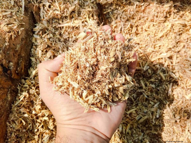 Avoid Common Composting Mistakes for a Bountiful Garden