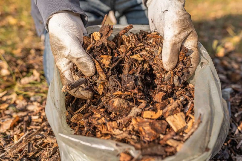 Avoid Common Composting Mistakes for a Bountiful Garden