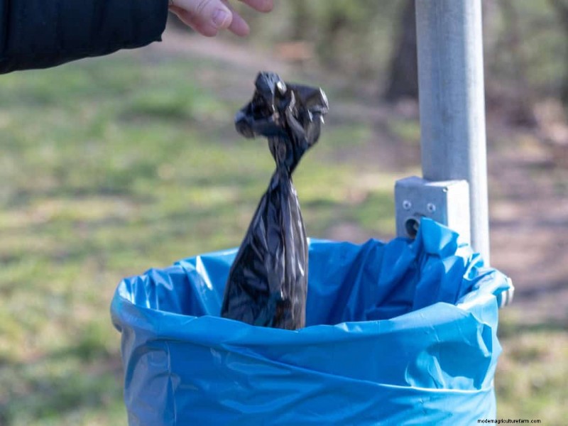 Avoid Common Composting Mistakes for a Bountiful Garden