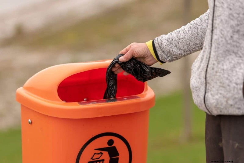 Avoid Common Composting Mistakes for a Bountiful Garden