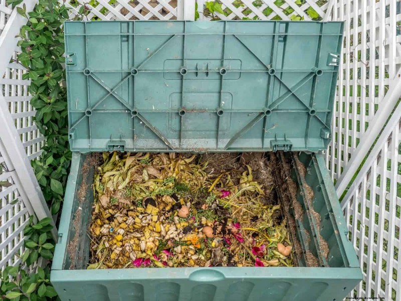 Avoid Common Composting Mistakes for a Bountiful Garden