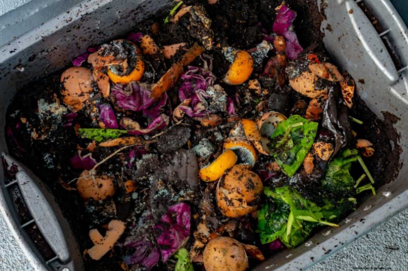 Avoid Common Composting Mistakes for a Bountiful Garden