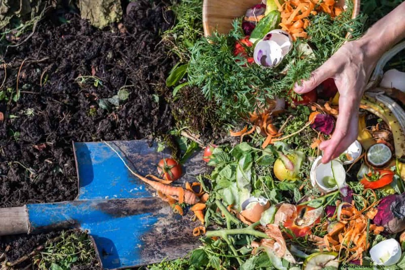 Avoid Common Composting Mistakes for a Bountiful Garden