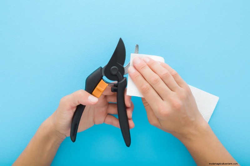 Mid-Season Garden Tool Maintenance: Keep Your Gear in Top Shape