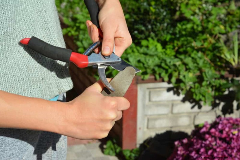 Mid-Season Garden Tool Maintenance: Keep Your Gear in Top Shape