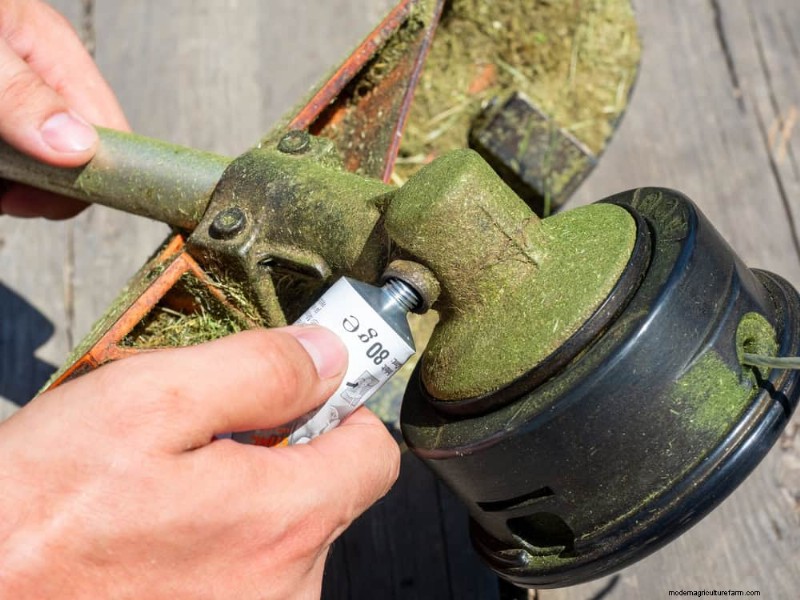 Mid-Season Garden Tool Maintenance: Keep Your Gear in Top Shape