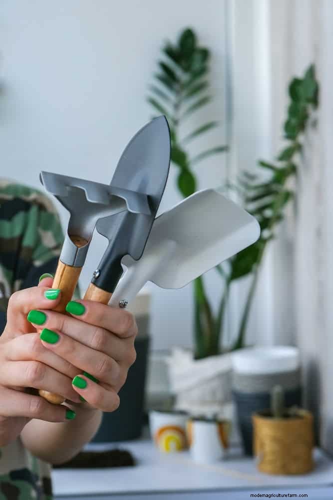 Mid-Season Garden Tool Maintenance: Keep Your Gear in Top Shape