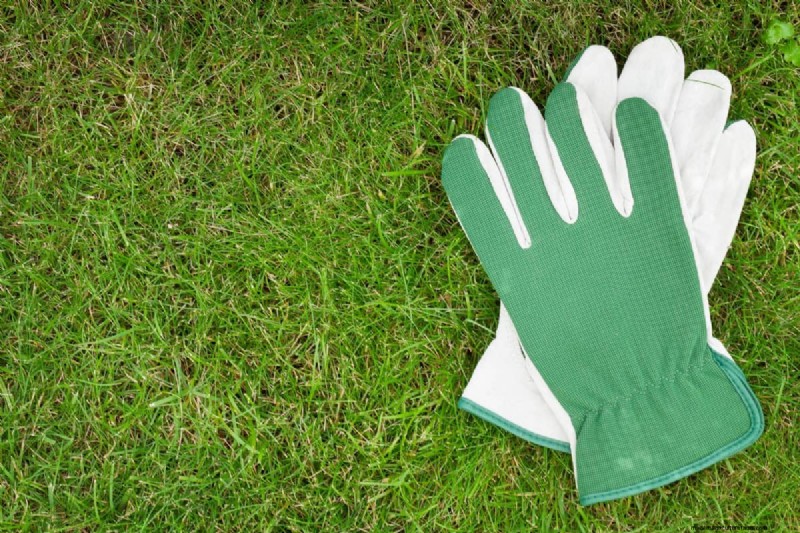 Mid-Season Garden Tool Maintenance: Keep Your Gear in Top Shape