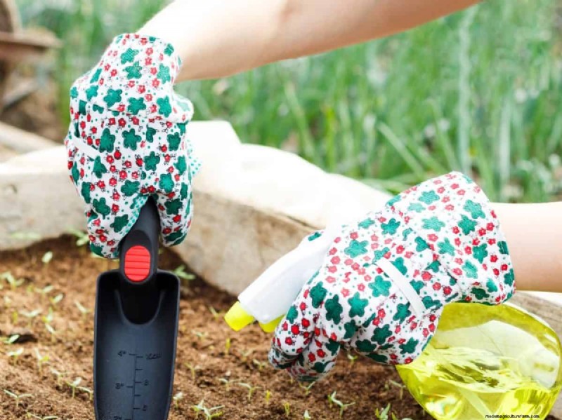 Mid-Season Garden Tool Maintenance: Keep Your Gear in Top Shape