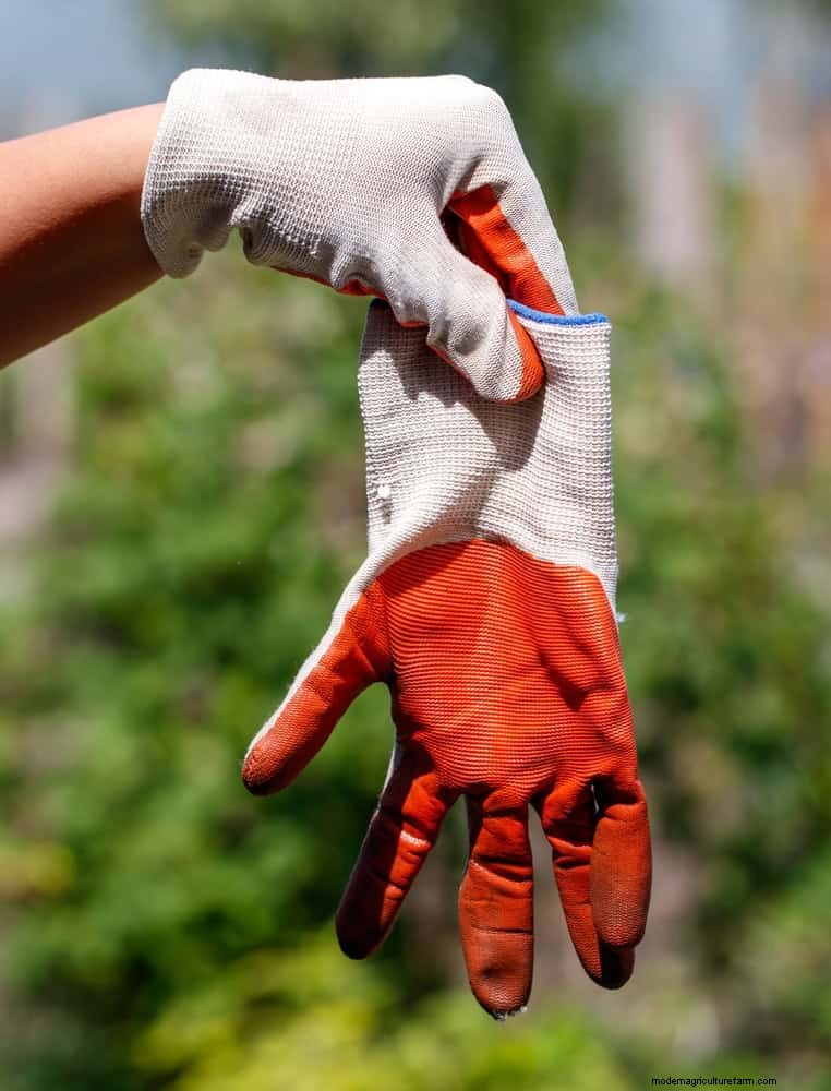 Mid-Season Garden Tool Maintenance: Keep Your Gear in Top Shape