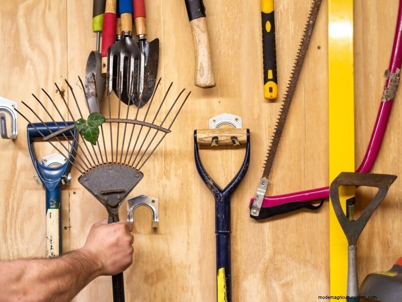 Mid-Season Garden Tool Maintenance: Keep Your Gear in Top Shape