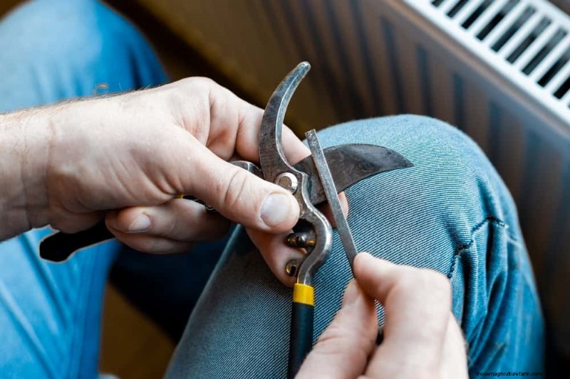 Mid-Season Garden Tool Maintenance: Keep Your Gear in Top Shape