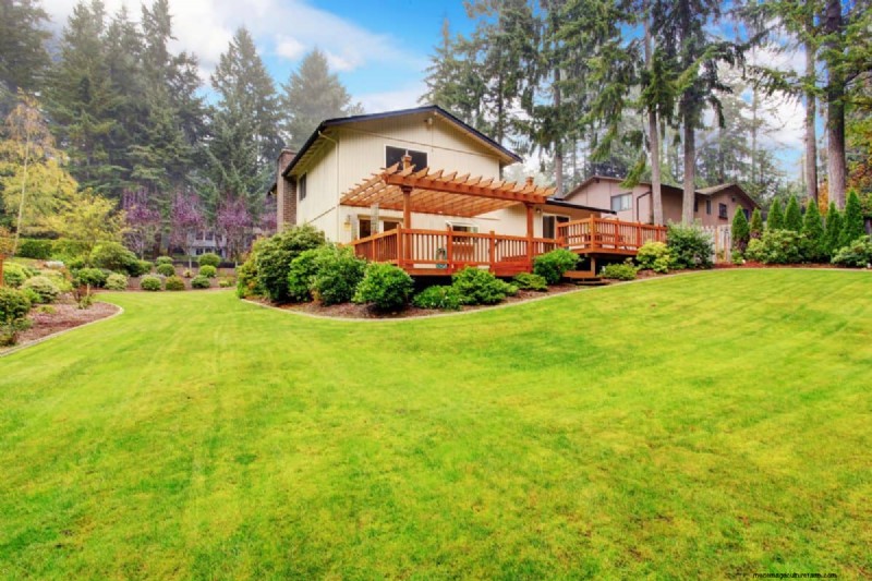 Natural Lawn Care: Healthy Grass Without Chemicals