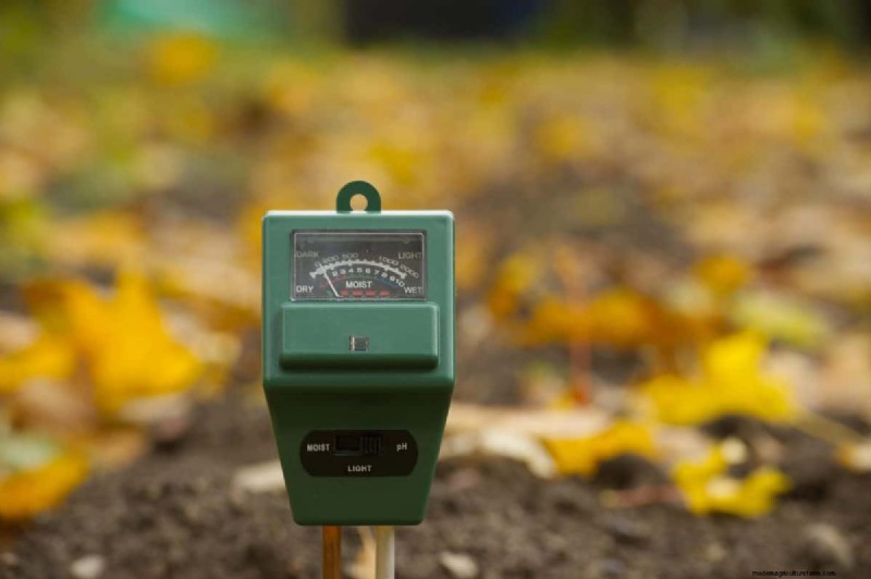 Natural Lawn Care: Healthy Grass Without Chemicals