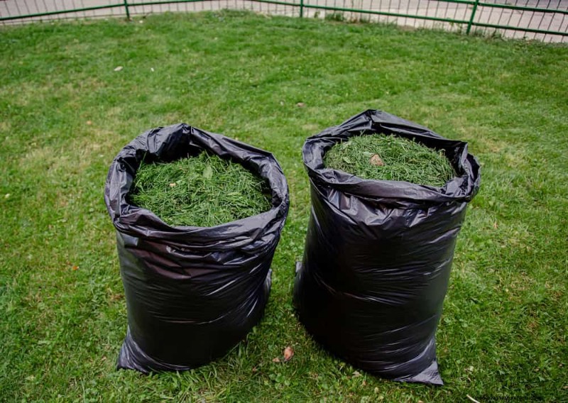 Natural Lawn Care: Healthy Grass Without Chemicals