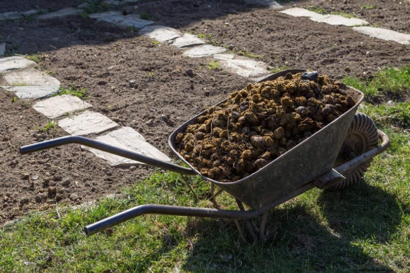 Natural Lawn Care: Healthy Grass Without Chemicals