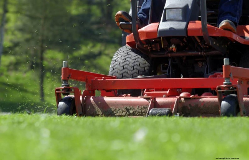 Natural Lawn Care: Healthy Grass Without Chemicals
