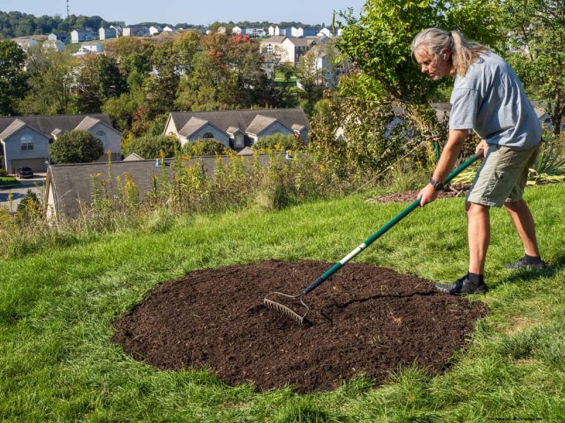 Natural Lawn Care: Healthy Grass Without Chemicals