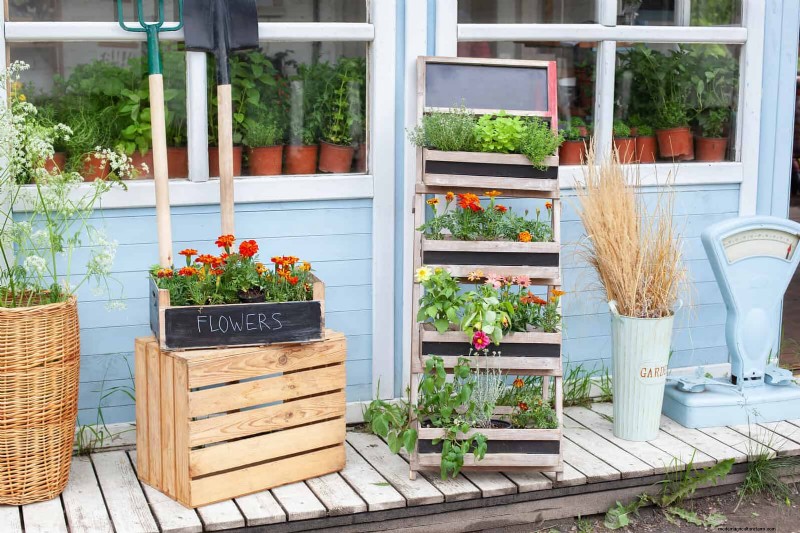 Container Gardening Ideas for Hot, Sunny Patios | Depositphotos