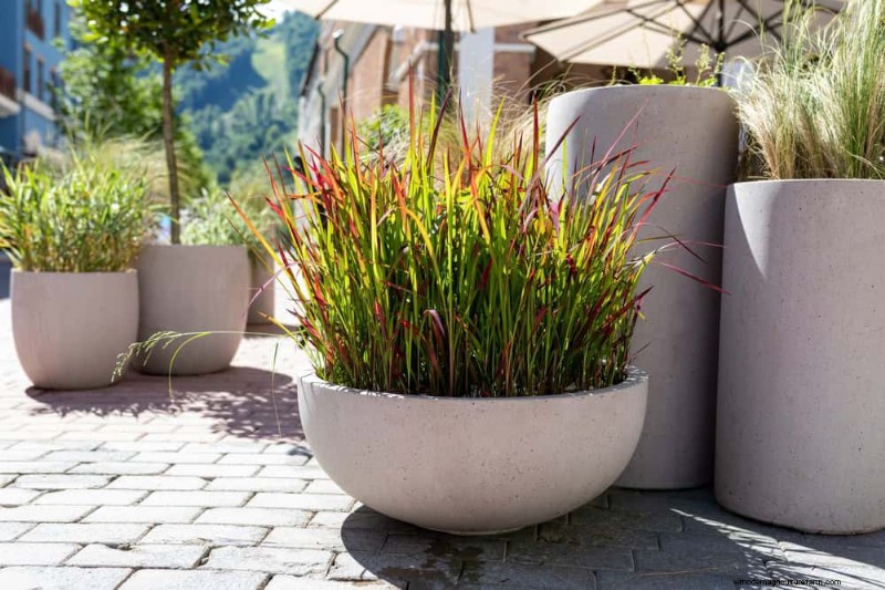 Container Gardening Ideas for Hot, Sunny Patios | Depositphotos