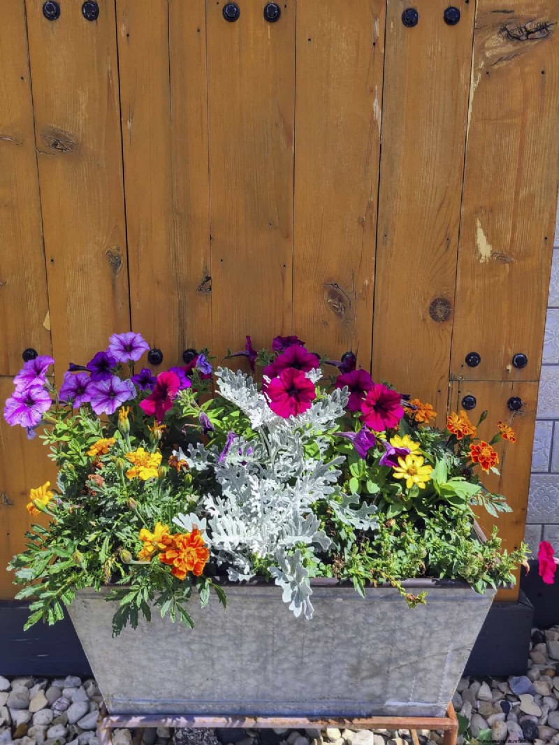 Container Gardening Ideas for Hot, Sunny Patios | Depositphotos