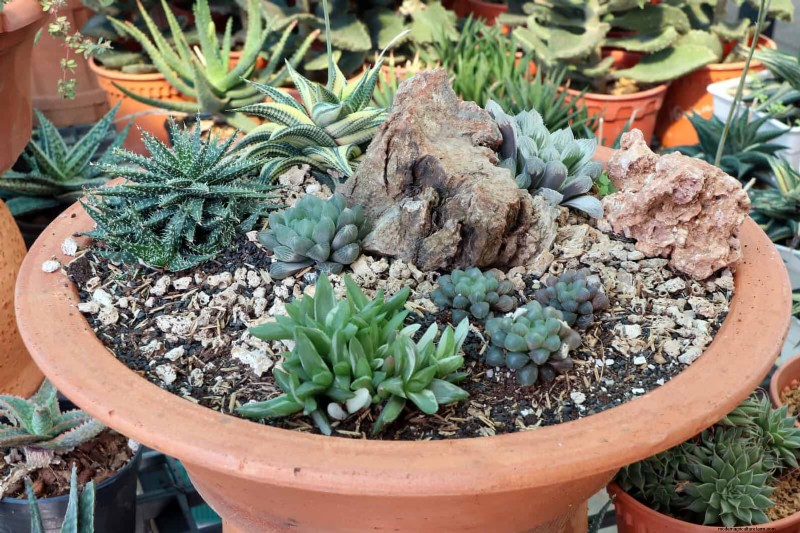 Container Gardening Ideas for Hot, Sunny Patios | Depositphotos