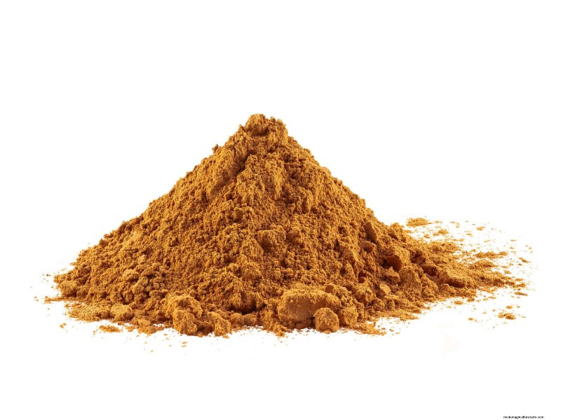 Effective Ant Control in the Garden: 9 Natural & Proven Methods