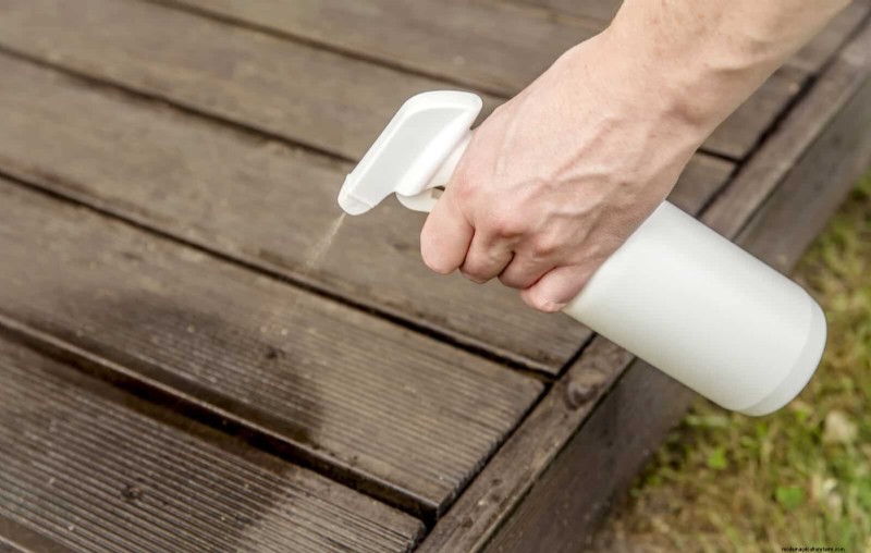 Effective Ant Control in the Garden: 9 Natural & Proven Methods