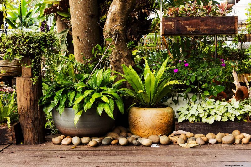 Effective Ant Control in the Garden: 9 Natural & Proven Methods